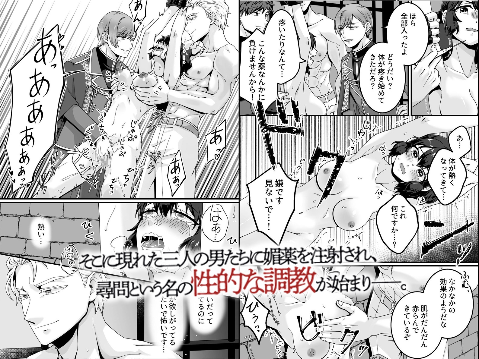敗北女冒険者ミアの監禁調教録~捕らえられた処女冒険者が三人の男に貫かれ快楽の虜に堕ちる逆ハーレム~ 画像2