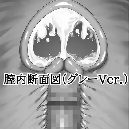 膣内断面図素材(グレーVer.) ジャケット画像