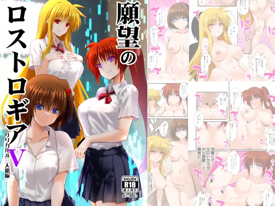 願望のロストロギア5リリカルJK三人組編 ジャケット画像