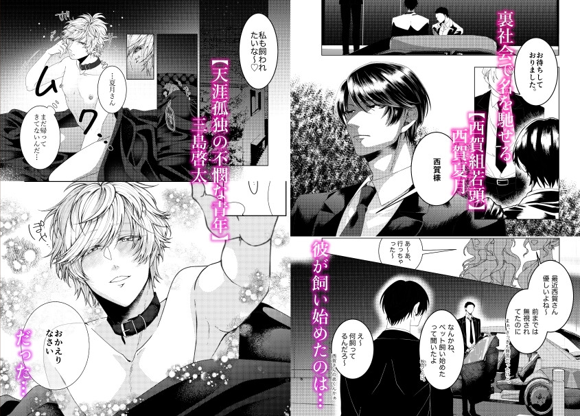 夏を啓く 画像1