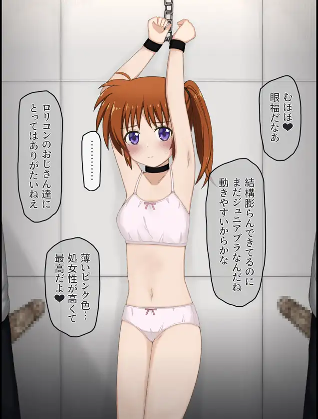 変態局員共に襲われちゃうなのはさんの話 サンプル画像 5