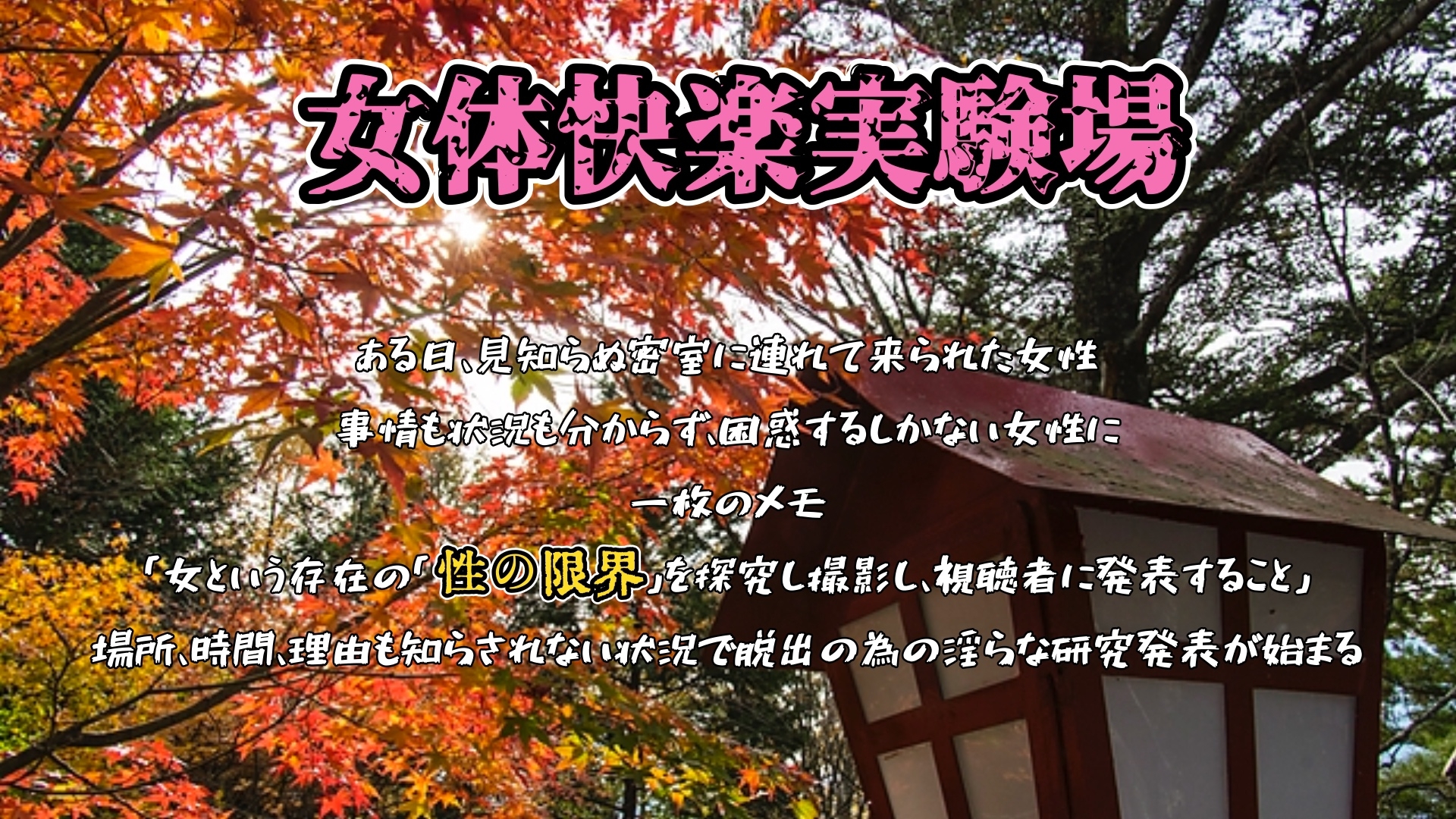 サンプル画像 1枚目