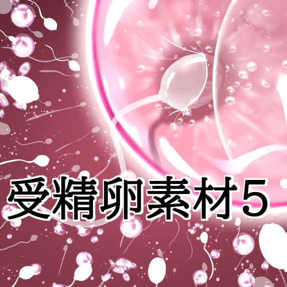 受精卵素材5