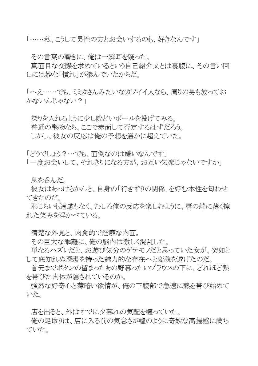 サンプル画像 3枚目