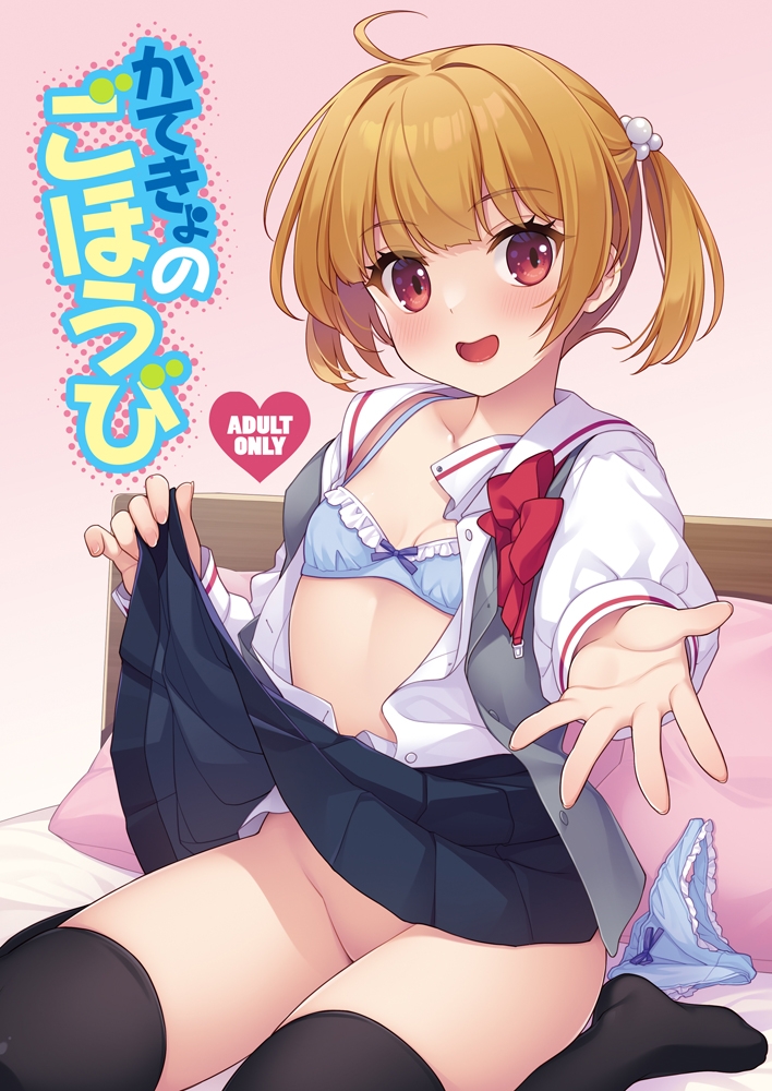 かてきょのごほうび 画像1