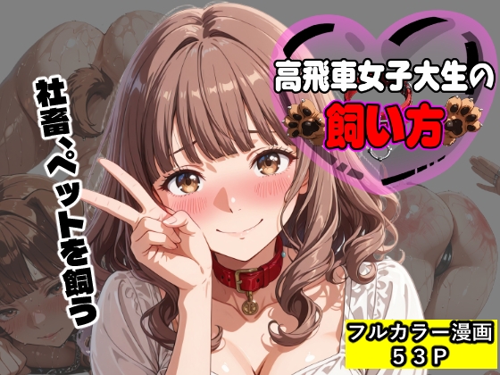 高飛車女子大生の飼い方