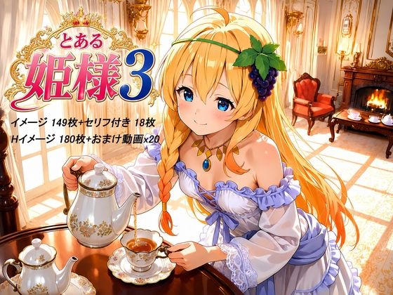とある姫様3