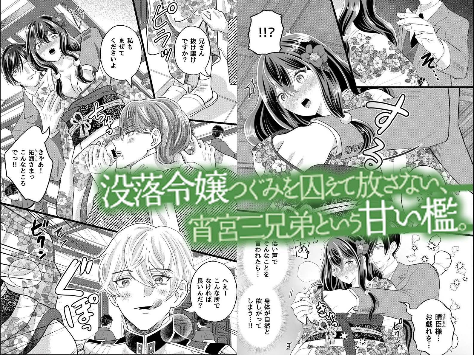 【三兄弟×寸止め三穴】没落令嬢の私が宵宮家の籠の中で毎日三穴調教されイカされ続ける話 画像1