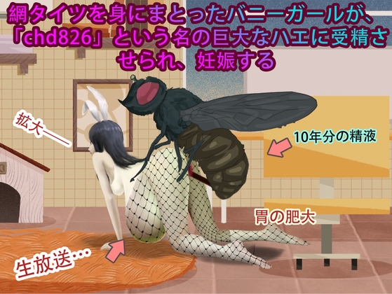 網タイツを身にまとったバニーガールが、「chd826」という名の巨大なハエに受精させられ、妊娠する