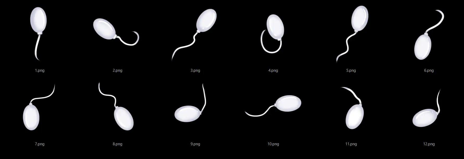 精子素材3 サンプル画像 2