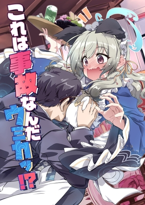 これは事故なんだウミカッ！?