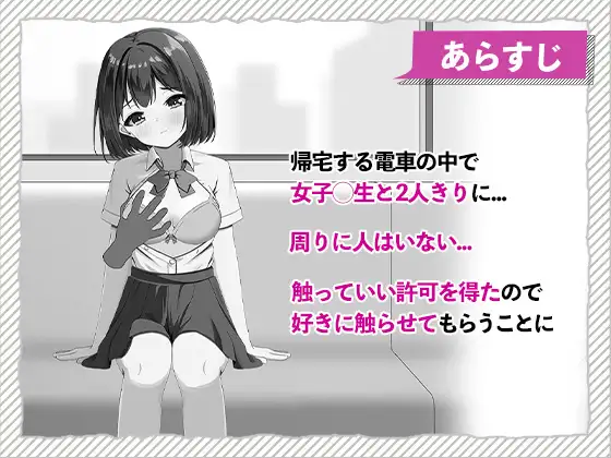 快感痴◯おさわり電車