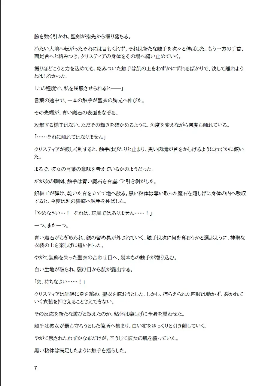 堕 サンプル画像 7