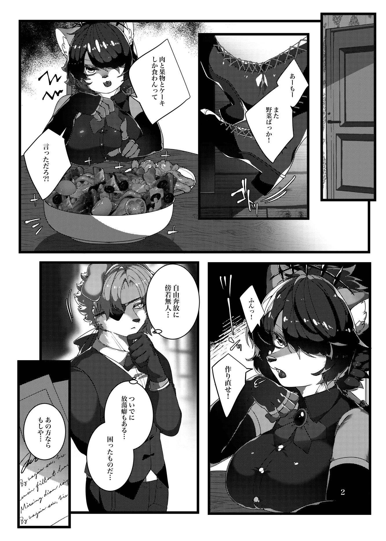 Neve Fiamma 画像3