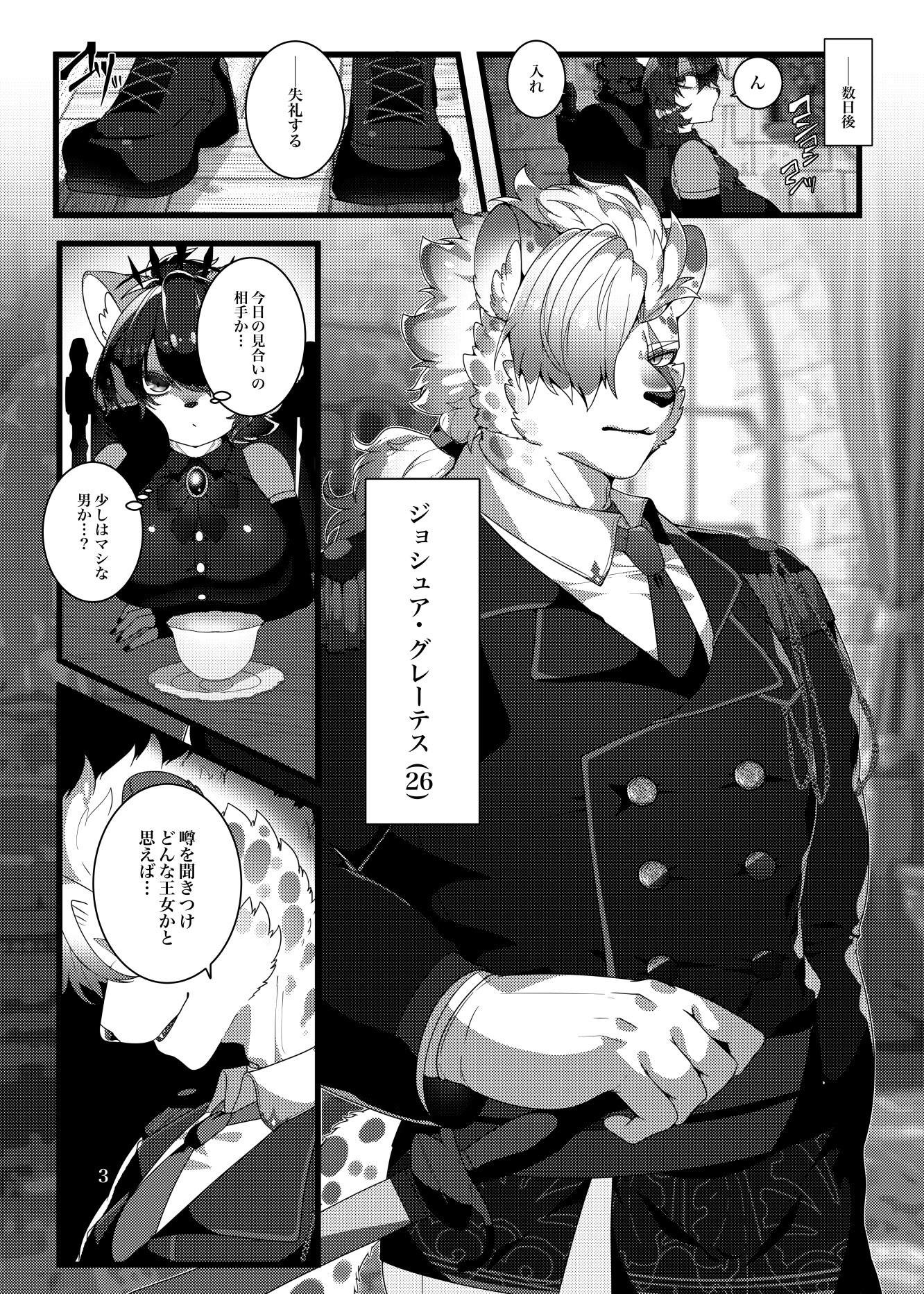 Neve Fiamma 画像4