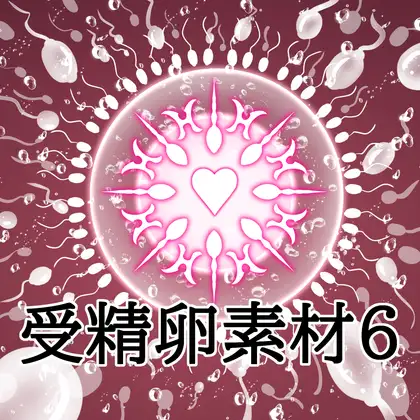 受精卵素材6 ジャケット画像