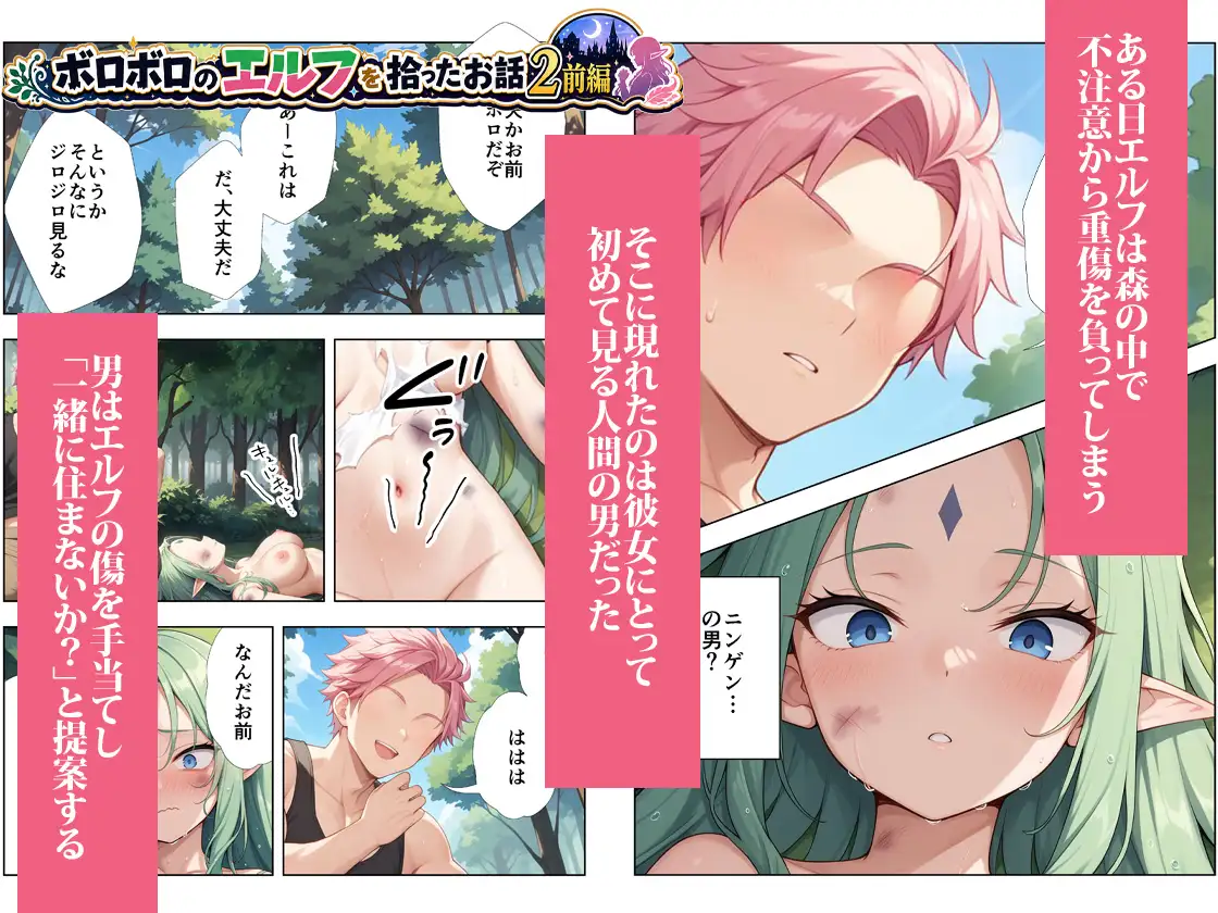ボロボロのエルフを拾ったお話総集編 サンプル画像 5