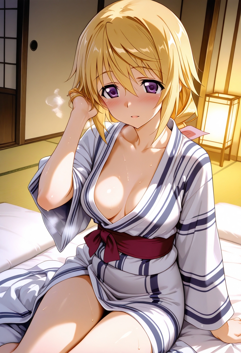 新・あのヒロインと純愛子作りSEX～シャル〇ット・デュノア編～ 画像7