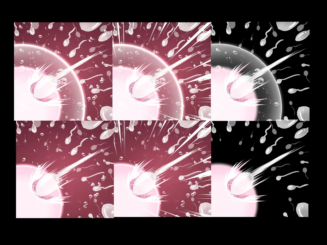 受精卵素材7 サンプル画像 3