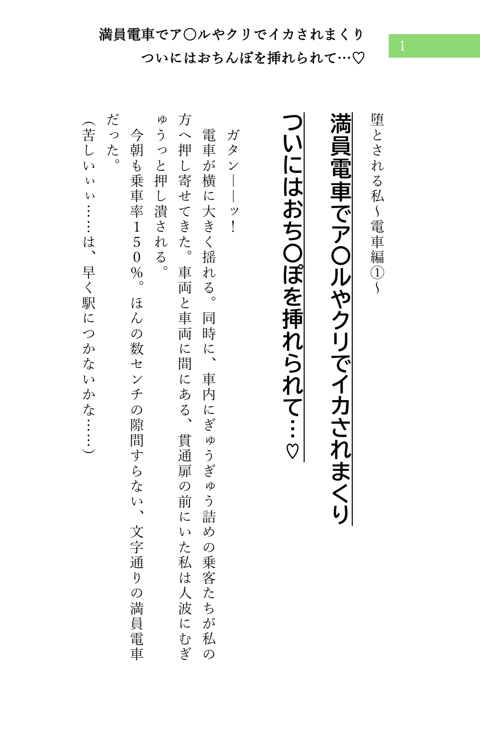 堕とされる私～電車編～ シリーズ(1)➁セット サンプル2