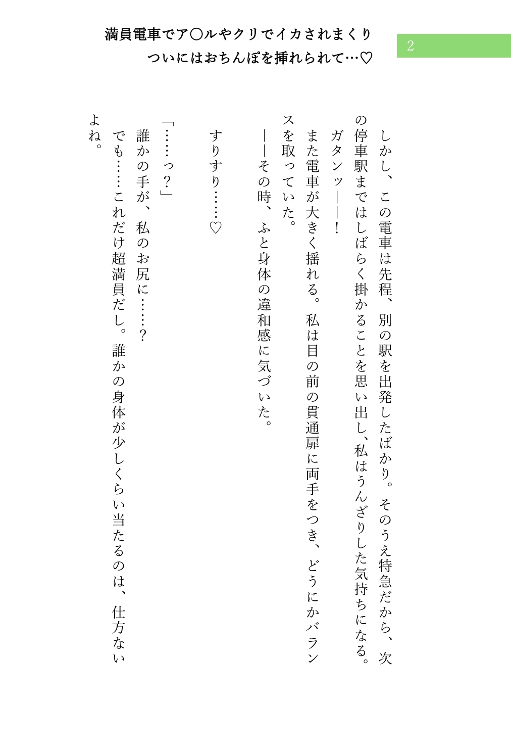 堕とされる私～電車編～ シリーズ(1)➁セット サンプル3