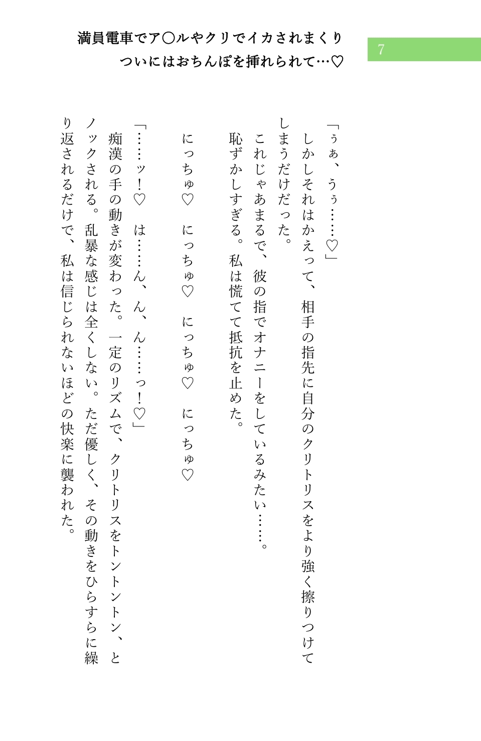 堕とされる私～電車編～ シリーズ(1)➁セット サンプル5
