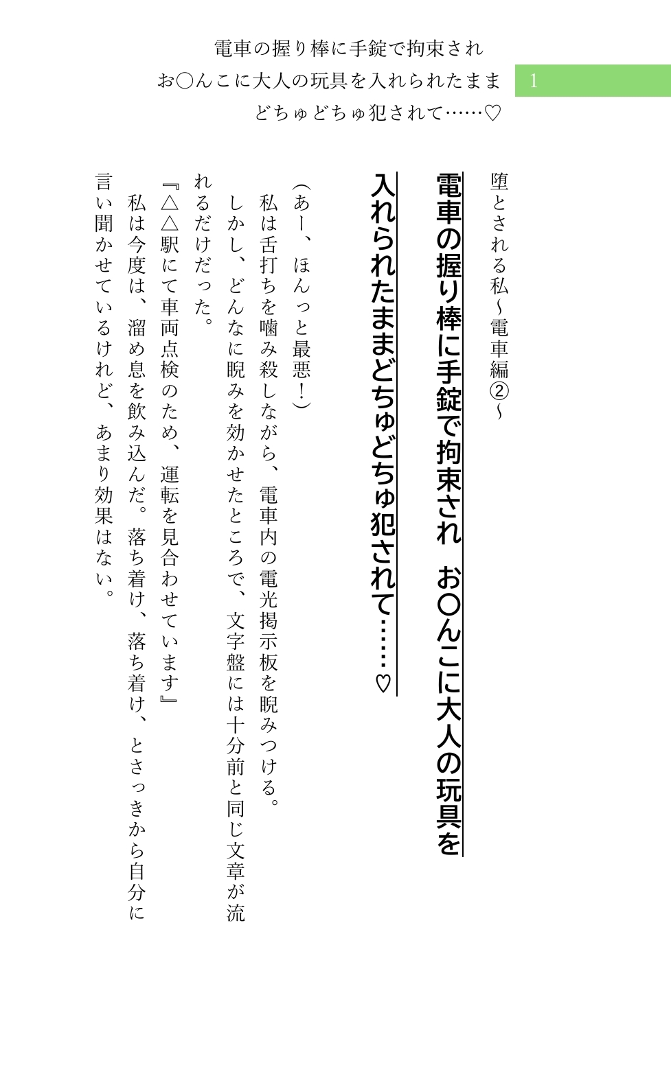 堕とされる私～電車編～ シリーズ(1)➁セット サンプル6