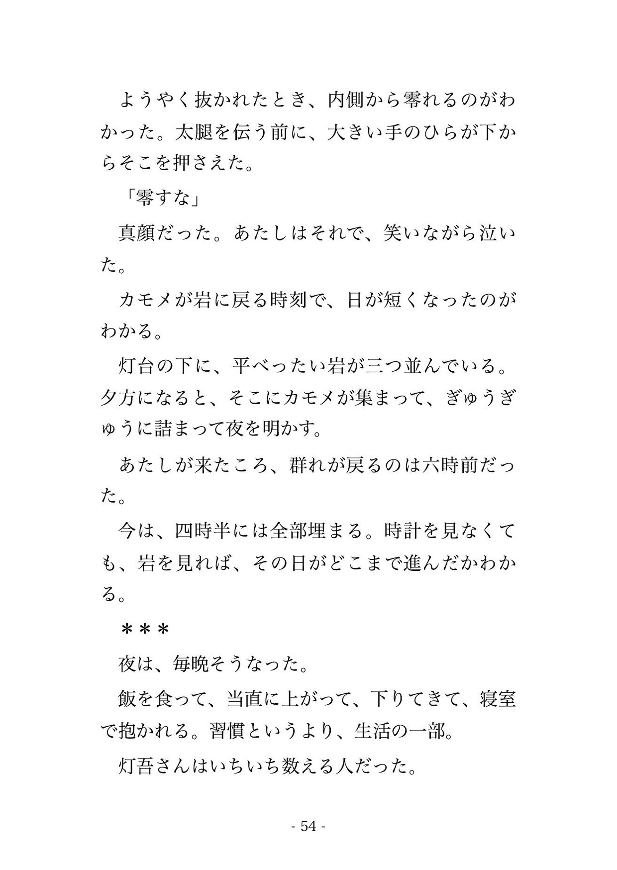 取材で訪れた岬の灯台で灯台守の男に船を出してもらえないまま『ここには誰も来ない』と閉じ込められて毎晩溺愛混じりに種付けされてるんだけど!? サンプル11