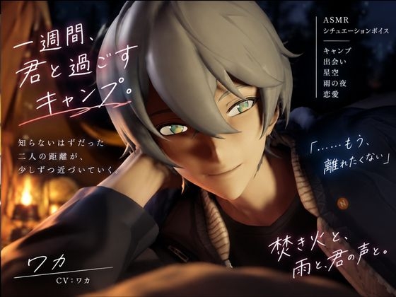 【音声動画】キャンプに行ったら好青年と…【3Dキャラに喋らせる音声作品】
