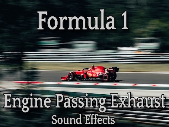 F1系 エンジン音 通過音 03 / ド迫力 エグゾースト サウンド！
