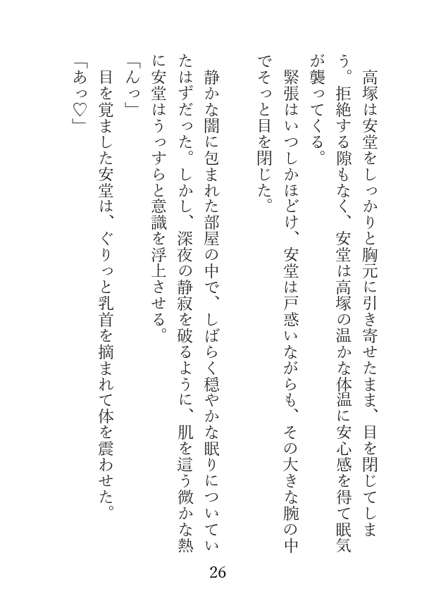 カントボーイ秘書と社長 初めての恋 〜出会いから結婚まで〜 サンプル2