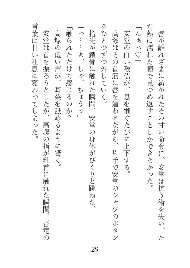 カントボーイ秘書と社長 初めての恋 〜出会いから結婚まで〜 サンプル5