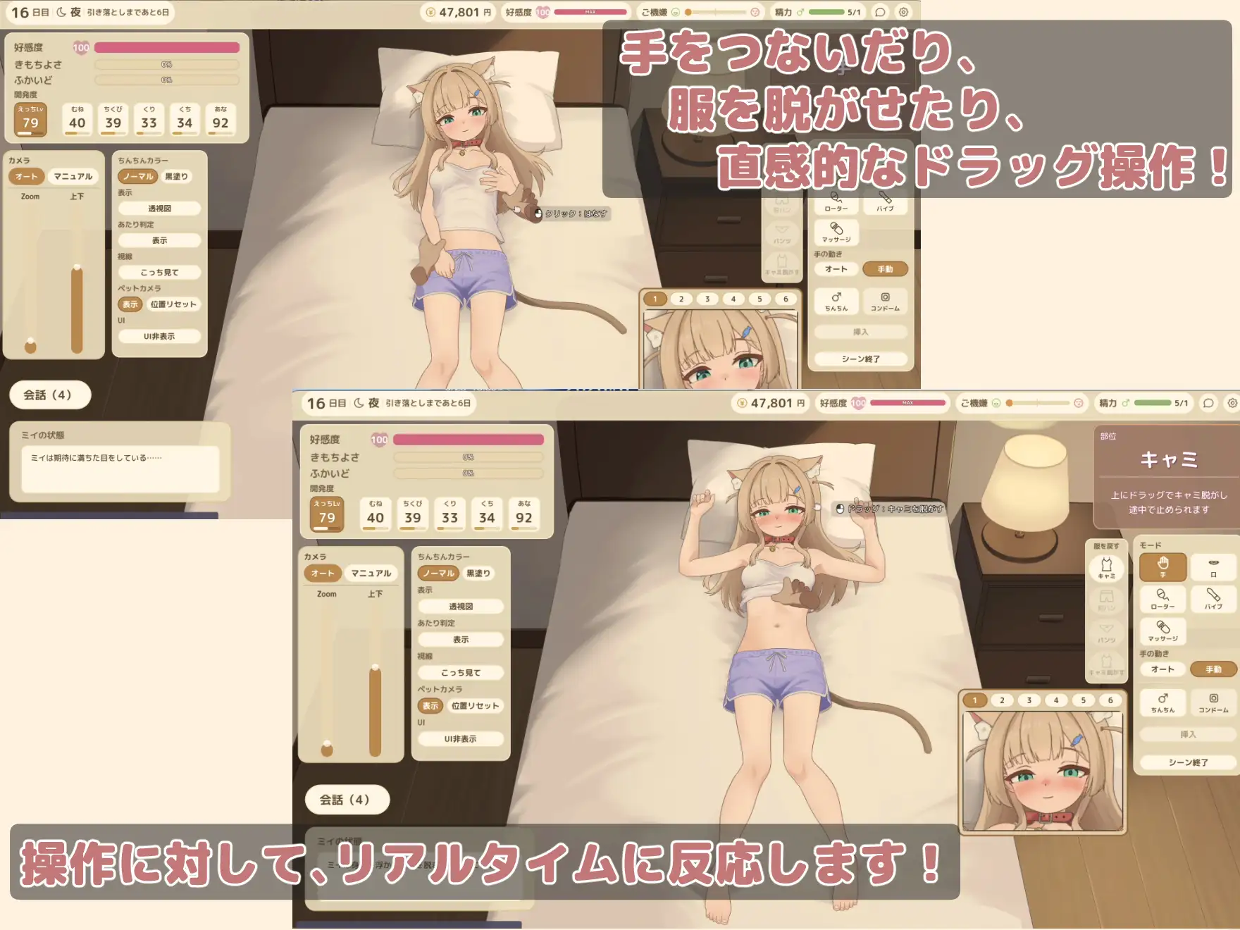 ふれあいミイちゃん