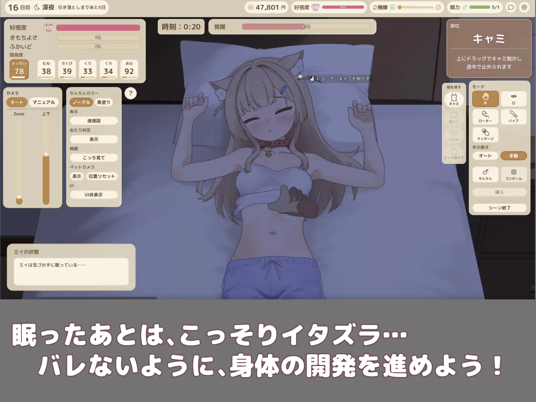 ふれあいミイちゃん