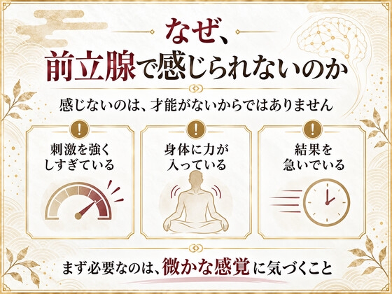 前立腺マッサージ器 挿れるだけでは気持ちよくなれない 乳首と前立腺を結びメスイキできる身体へ導く 究極快楽メスイキを発動させるための「乳首と前立腺快楽の繋げ方」