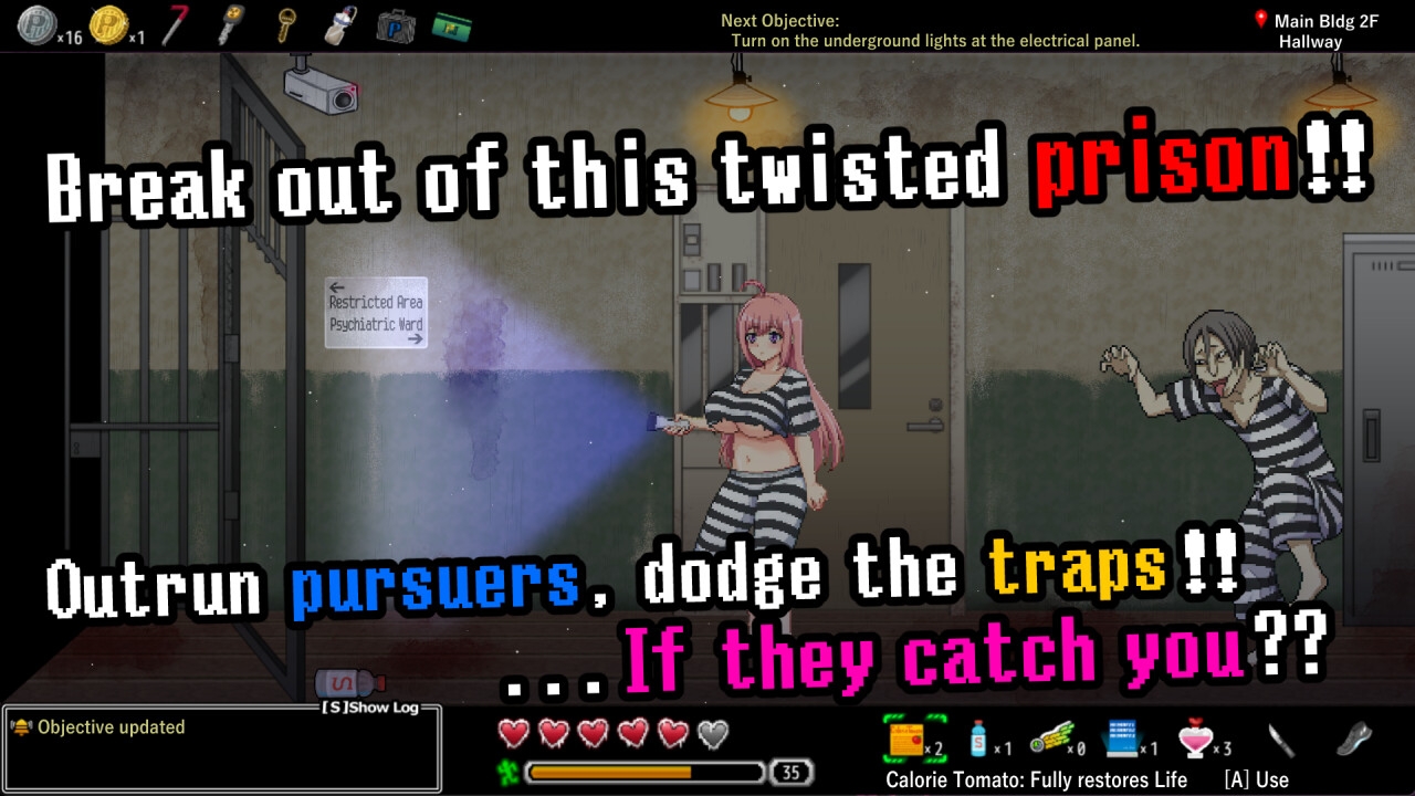 Twisted Prison of Lust [FUJIYAMA SOFT] sample 1