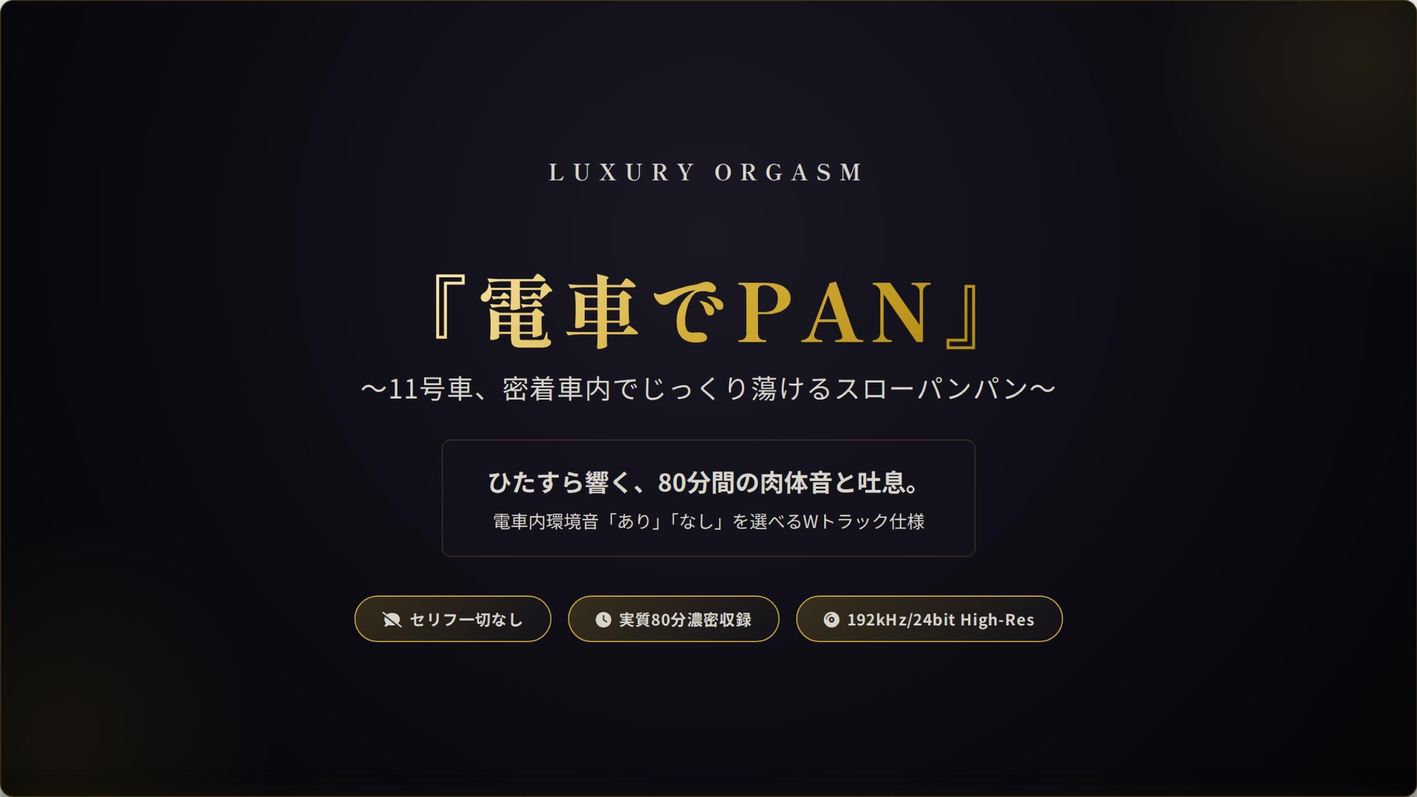 『電車でPAN』 〜11号車、密着車内でじっくり蕩けるスローパンパン〜 ラグジュアリーオーガズム サンプル2