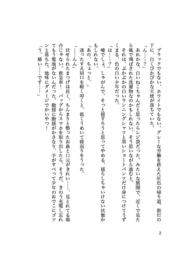 天使失格！? 道ばたで拾ったかわいい子に朝までおいしく食べられちゃうおねえさんの話。 [里矢家] | DLsiteがるまに 3
