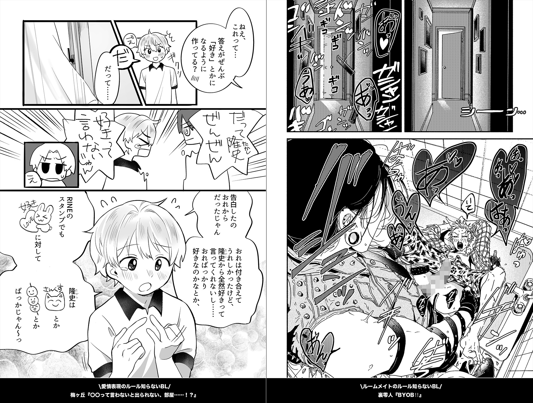 ルール知らないBLアンソロジー 画像2