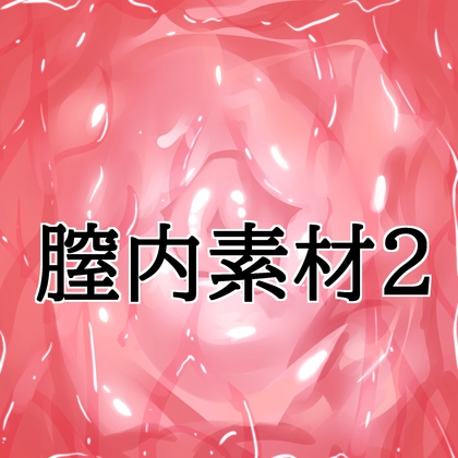 膣内素材2