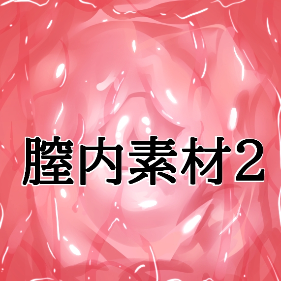 膣内素材2