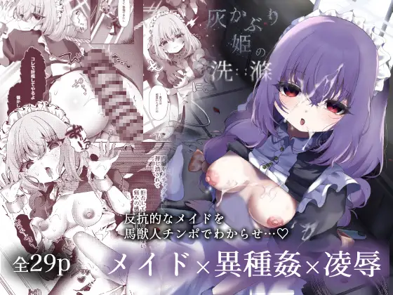 灰かぶり姫の洗滌 ジャケット画像
