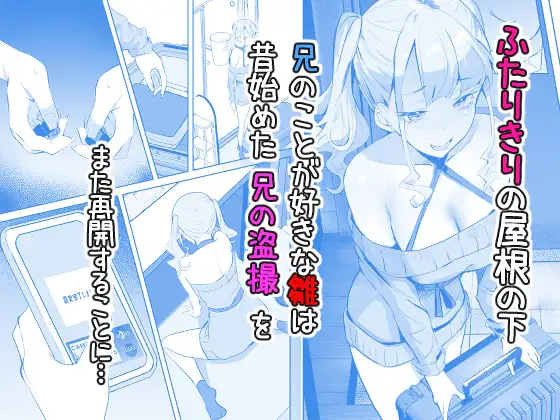 みまもりカメラで兄を視ていたらあたしも視られてた話 サンプル画像 2