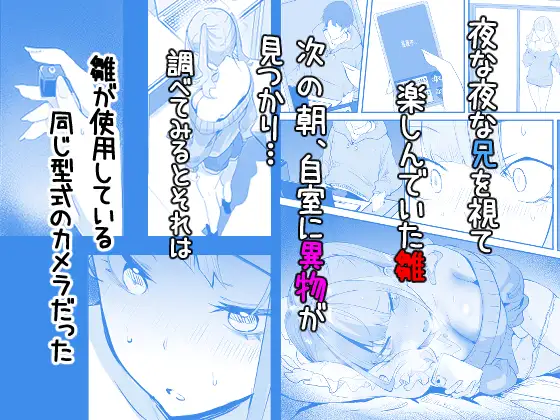 みまもりカメラで兄を視ていたらあたしも視られてた話 サンプル画像 3