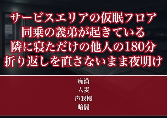 同乗の義弟が起きているので隣に寝ただけの他人を装った人妻がサービスエリアの仮眠フロアで180分弄られ毛布の折り返しを直さないまま夜明けに孕まされた話