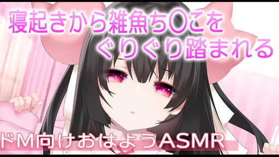 【ASMR】寝起きからざこち〇こを踏み踏みされちゃう