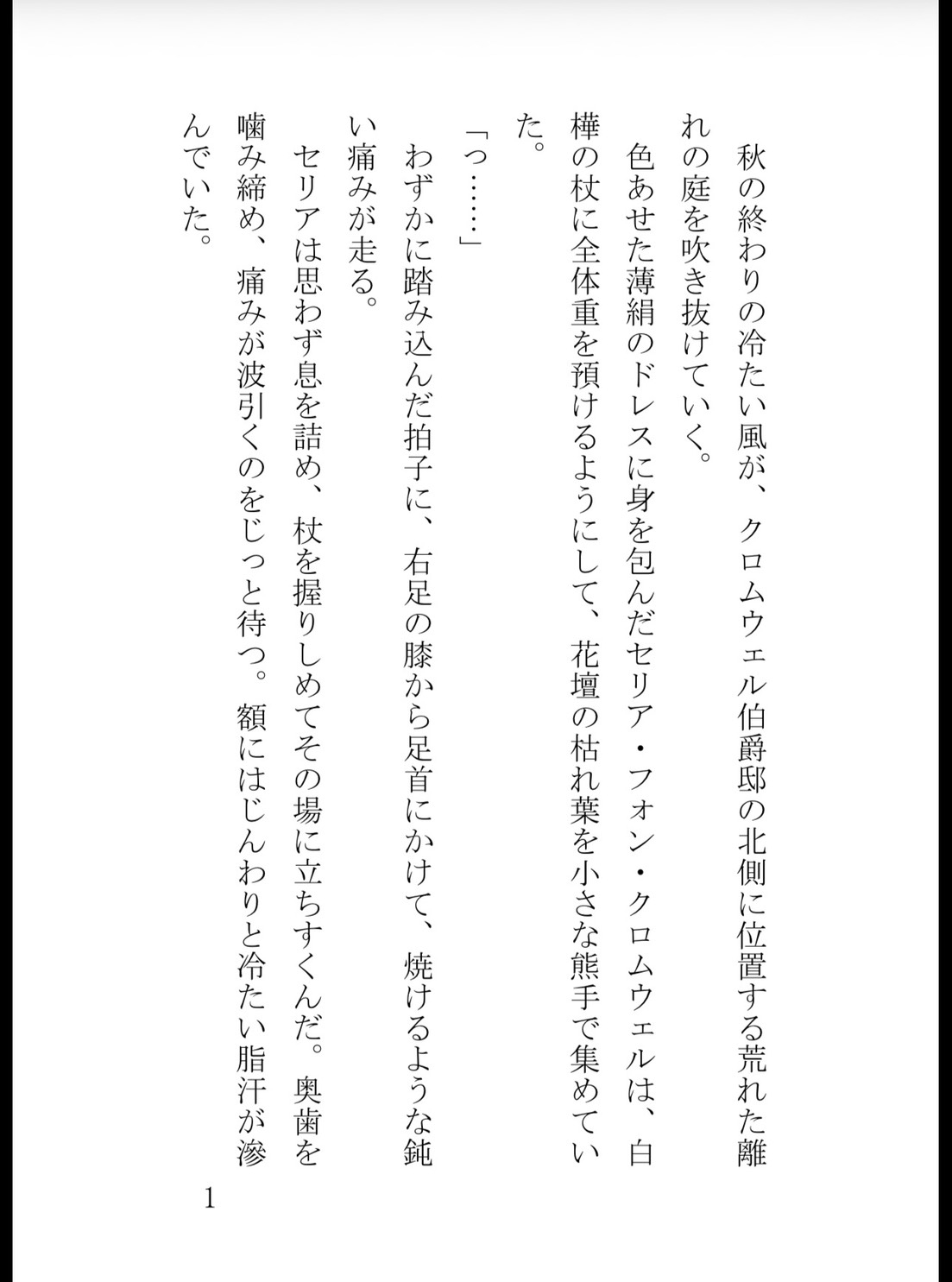妹に陥れられて足の障害を持った貴族令嬢、第一王子に溺愛される [花蜜文庫] | DLsiteがるまに 2