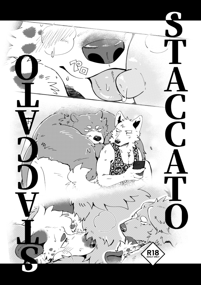 STACCATO 画像3