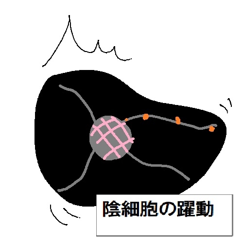 サンプル画像 2枚目