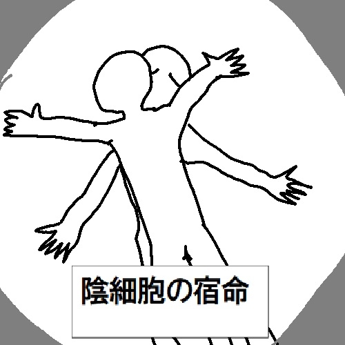 サンプル画像 4枚目